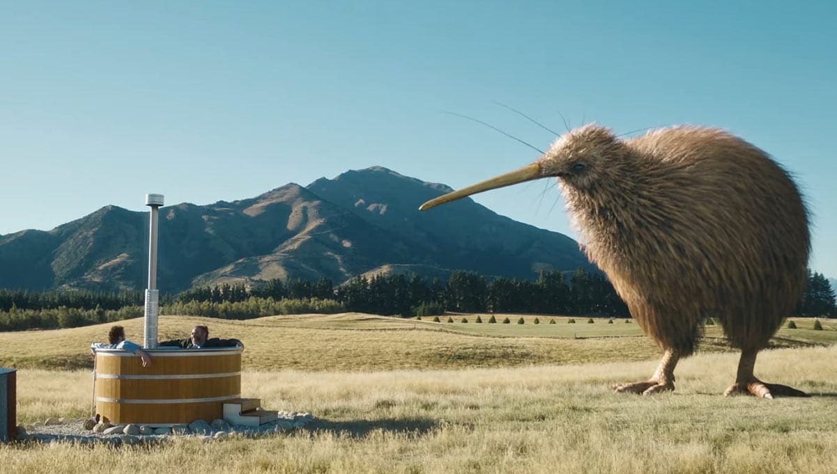 FINCH                      at                      AXIS