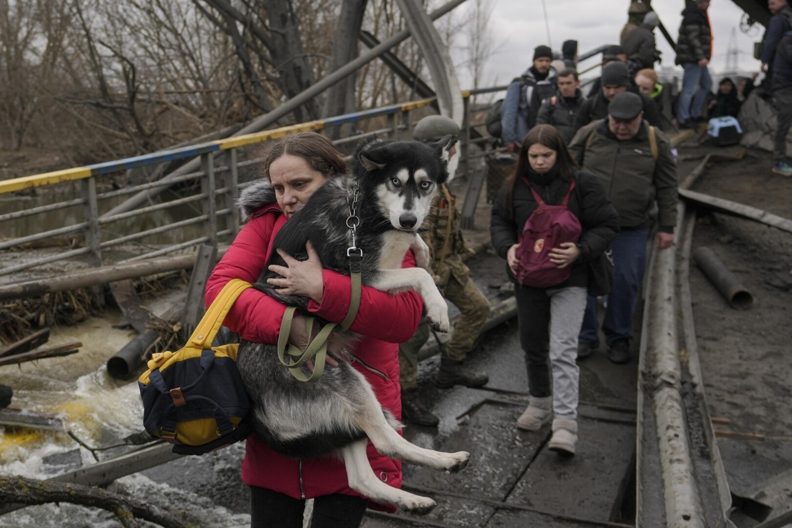 The Lion’s Share in Ukraine